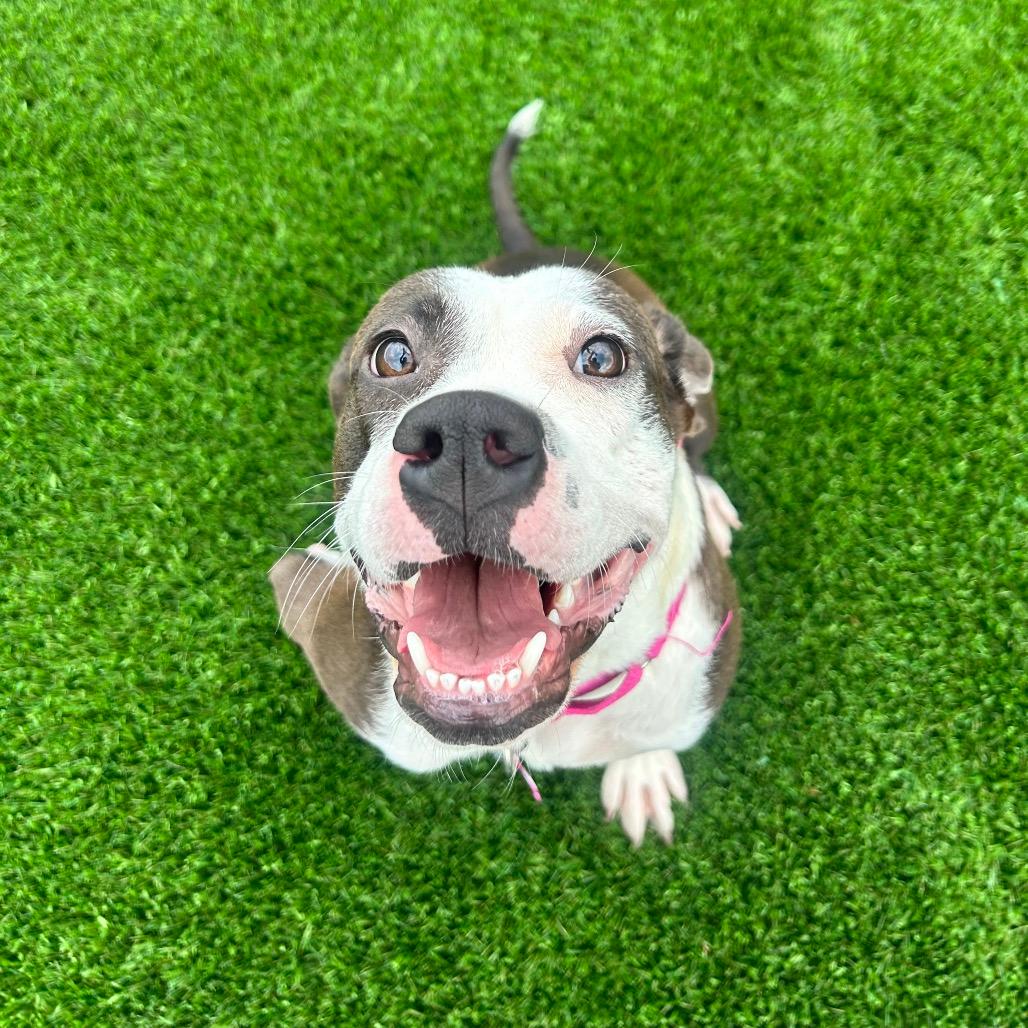 Chiquita