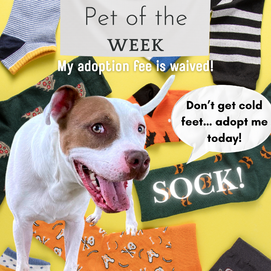 Sock