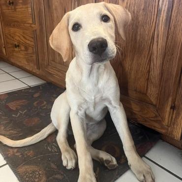 Walter