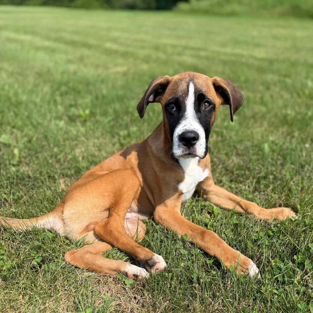 Tyson “Augustus”