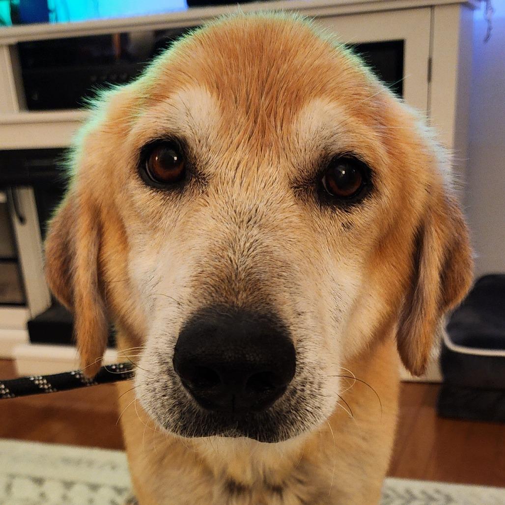 Marvin