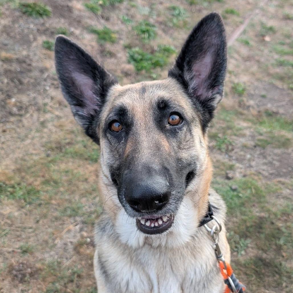 Chloe