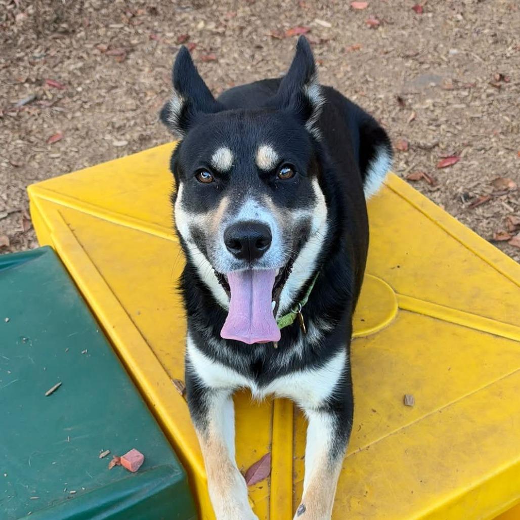 Zeena