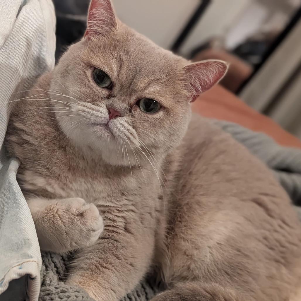 Rory (bonded with Mimi)