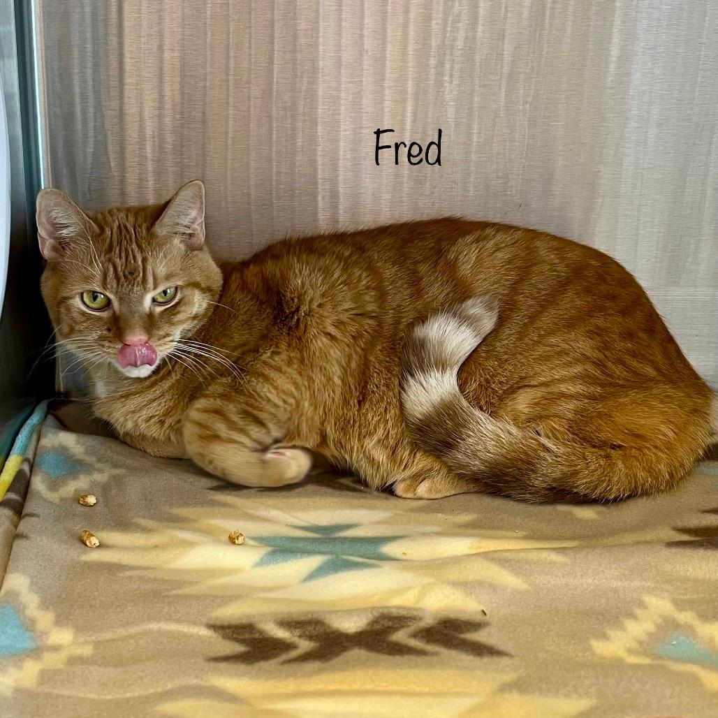 Fred