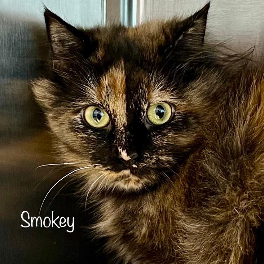 Smokey