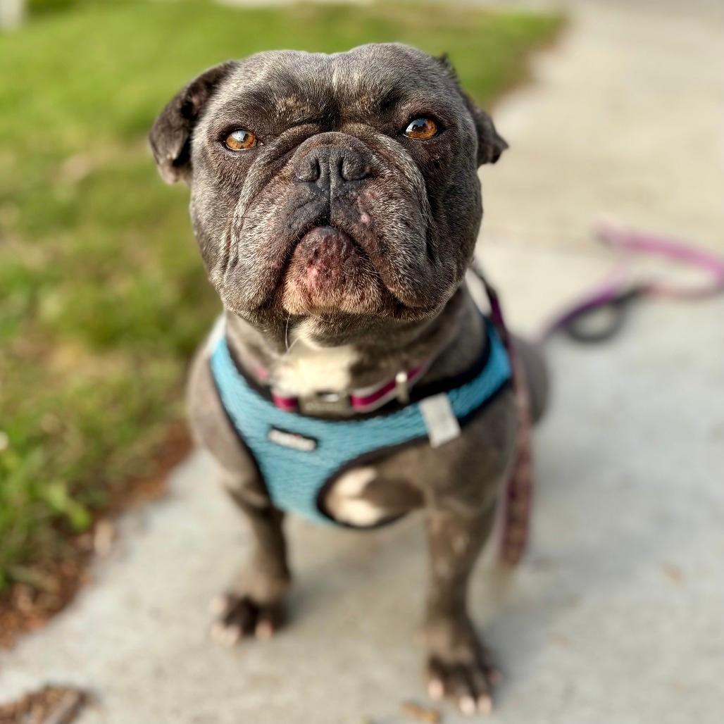 Mia