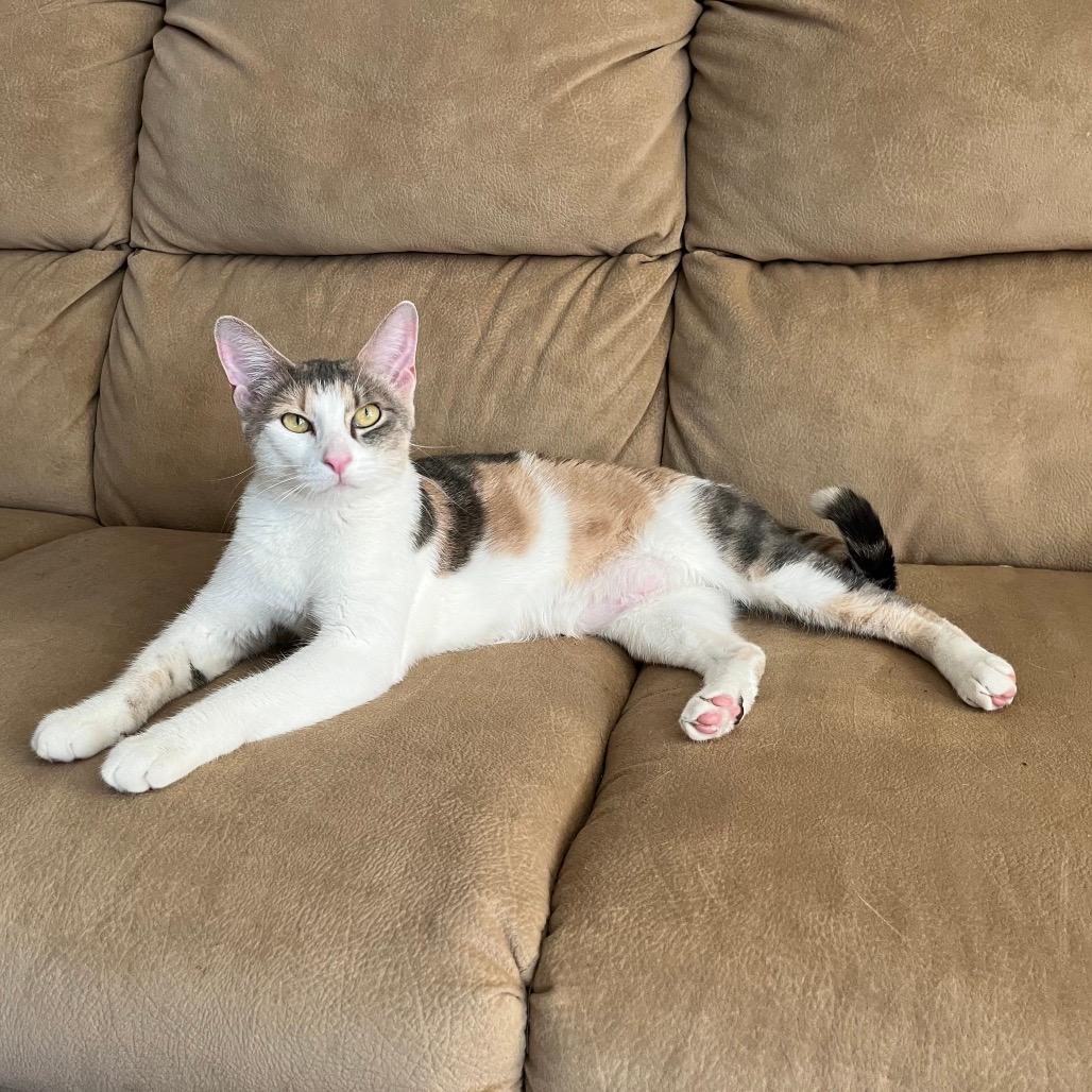 Xena