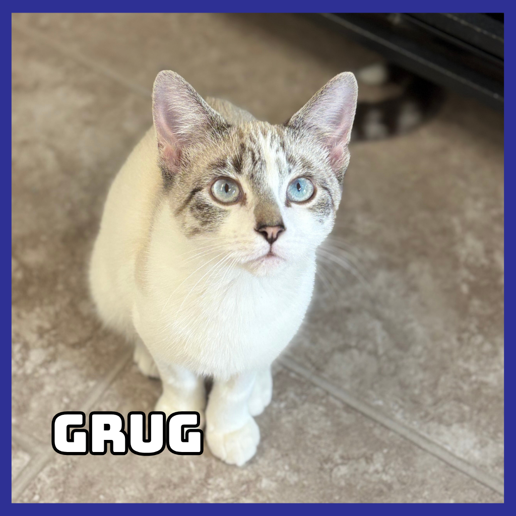 Grug 