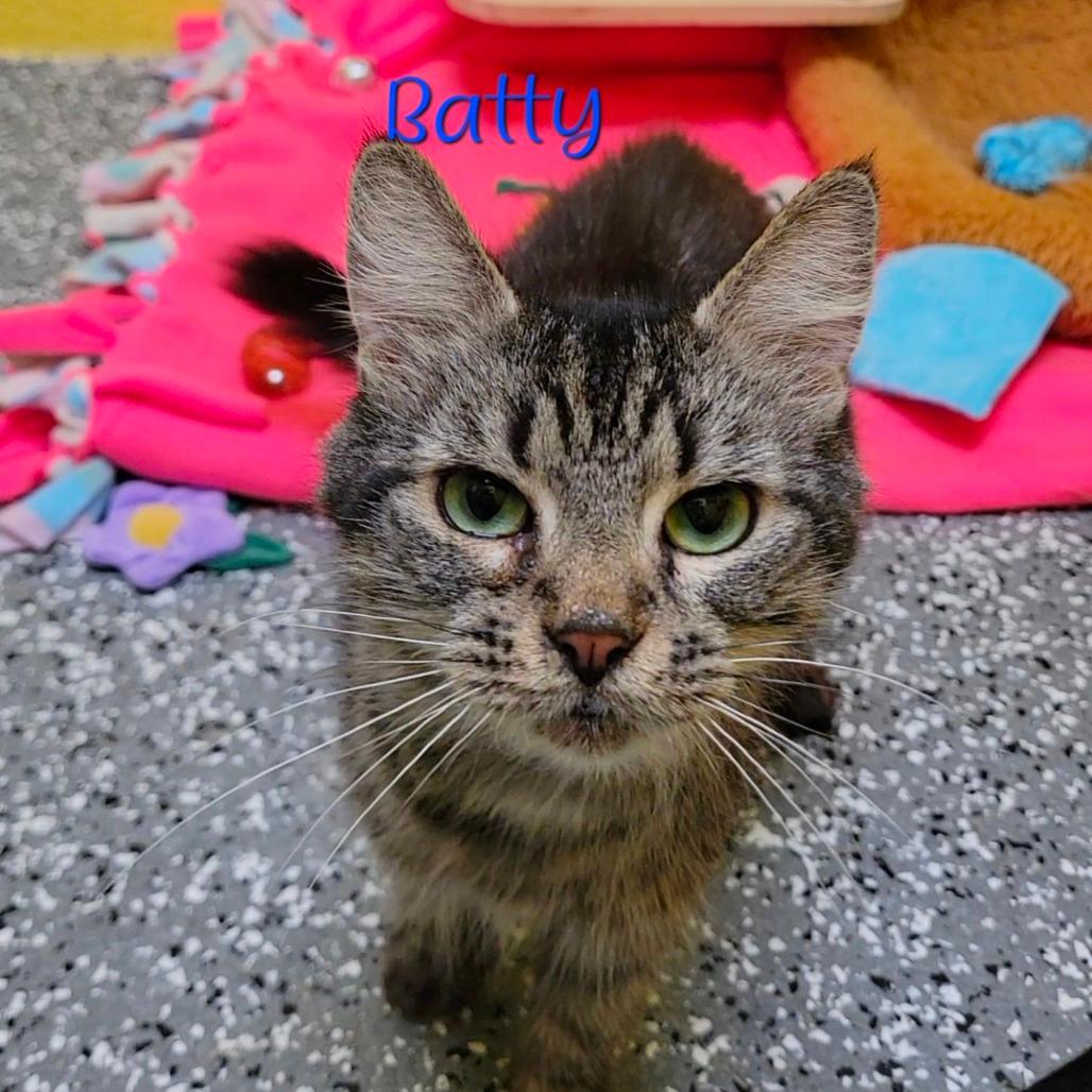Batty