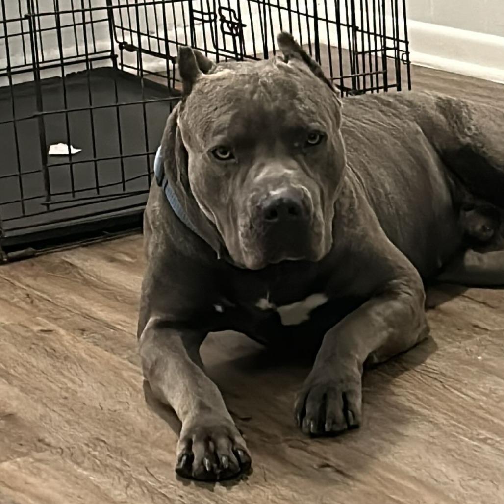 Zeke