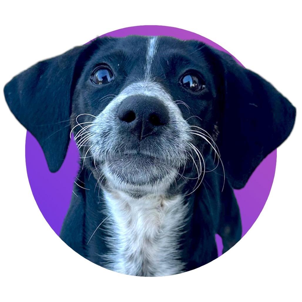 Maggie