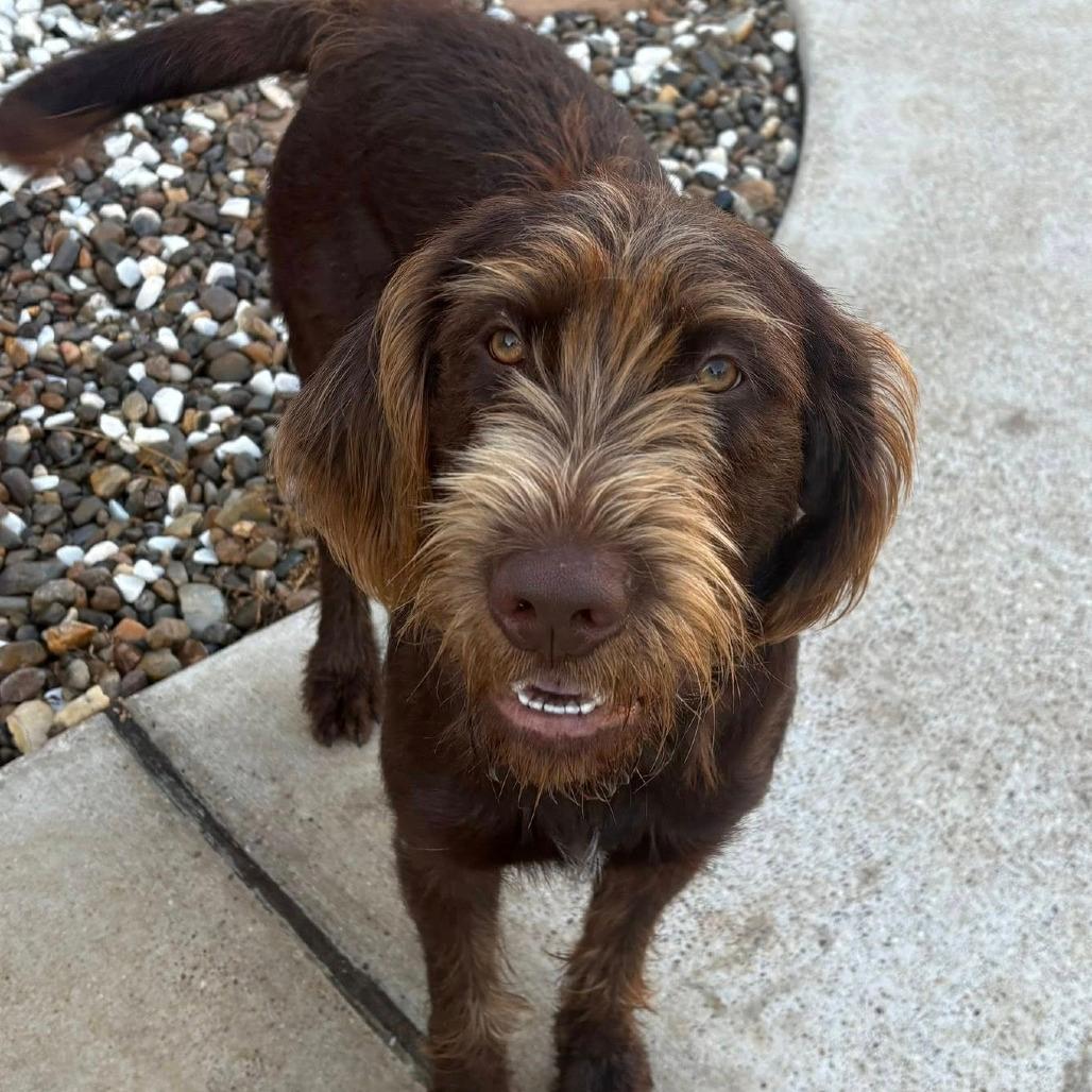 Duke (Gloster, Louisiana)