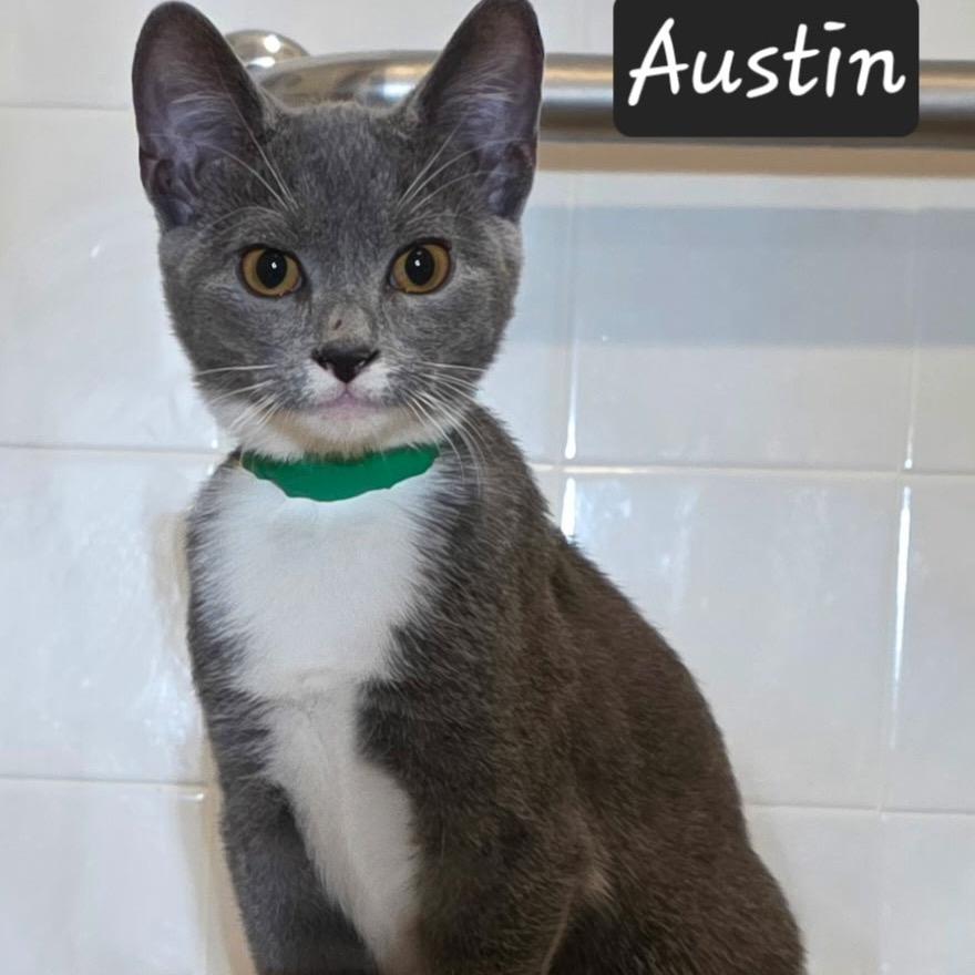 Austin