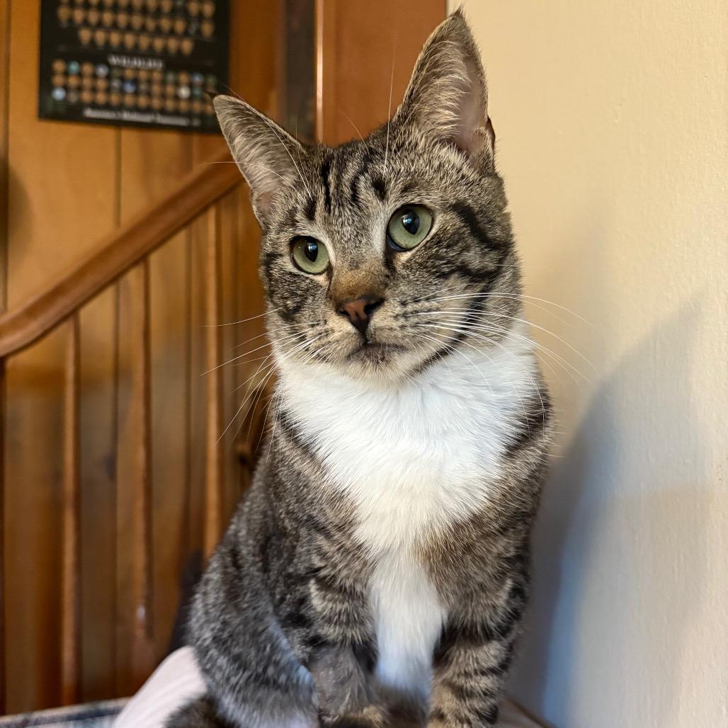 Tangerine Pafford-HW