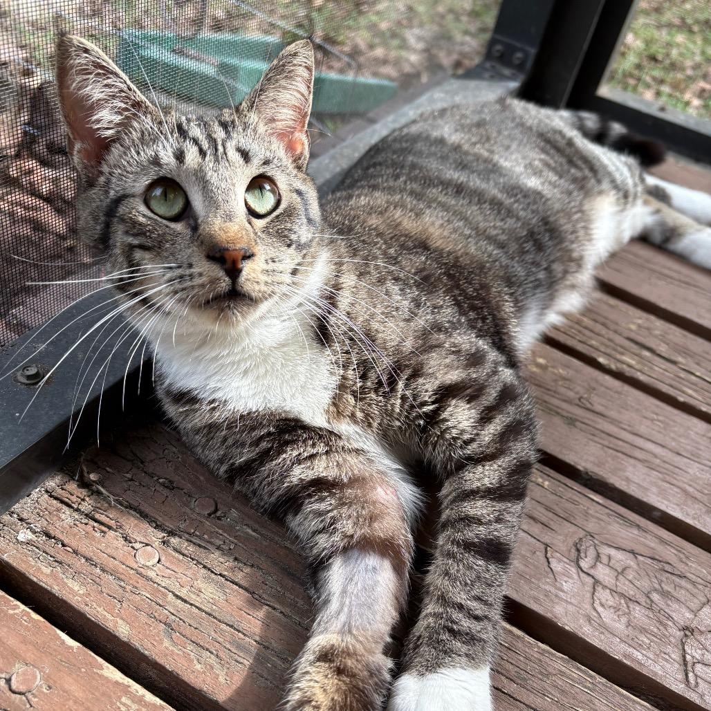 Tangerine Pafford-HW