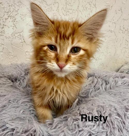 Rusty