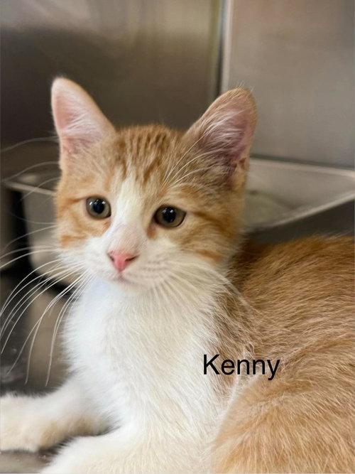 Kenny