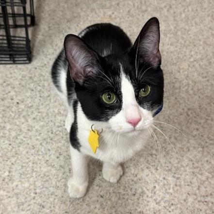 Templeton-See my video!