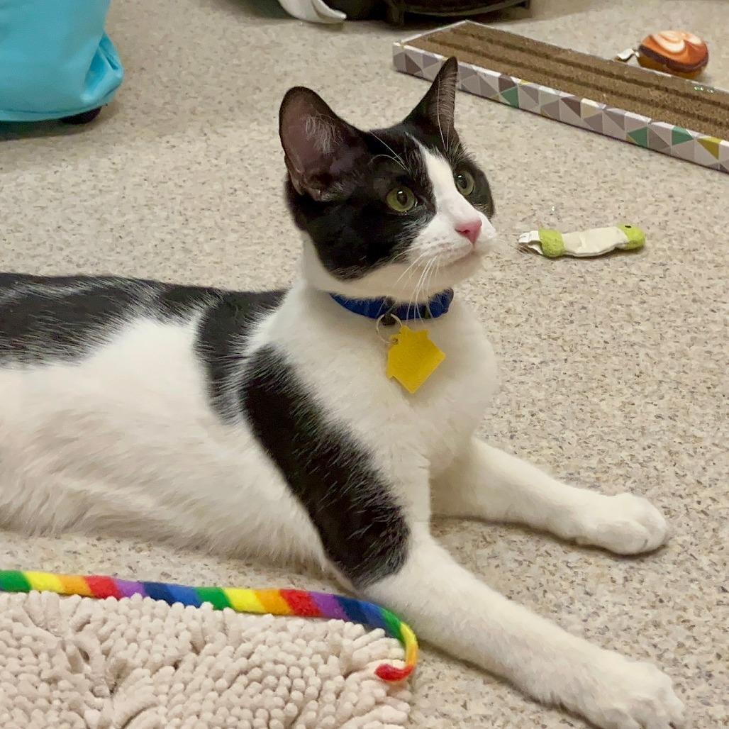 Templeton-See my video!