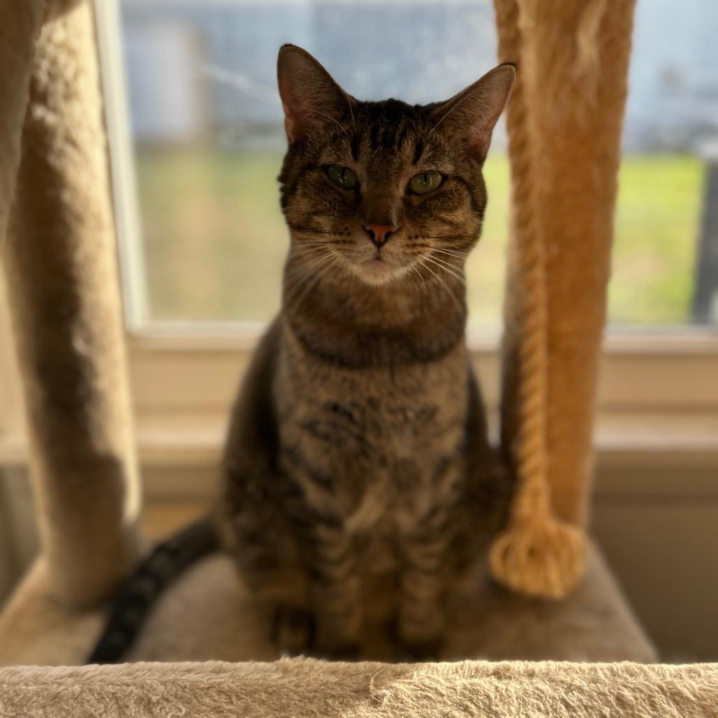 Turtle FKA Charlotte