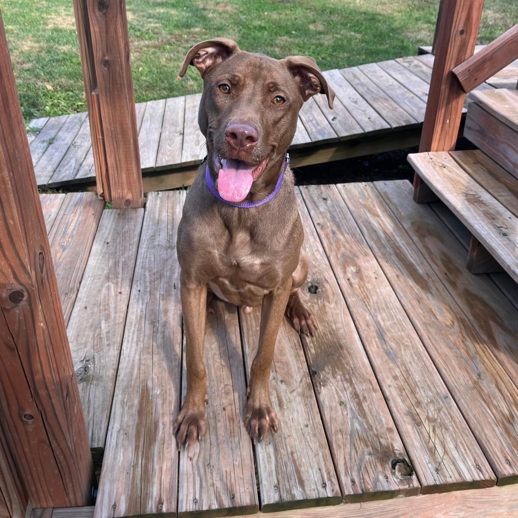 Pico de Gallo (10884)