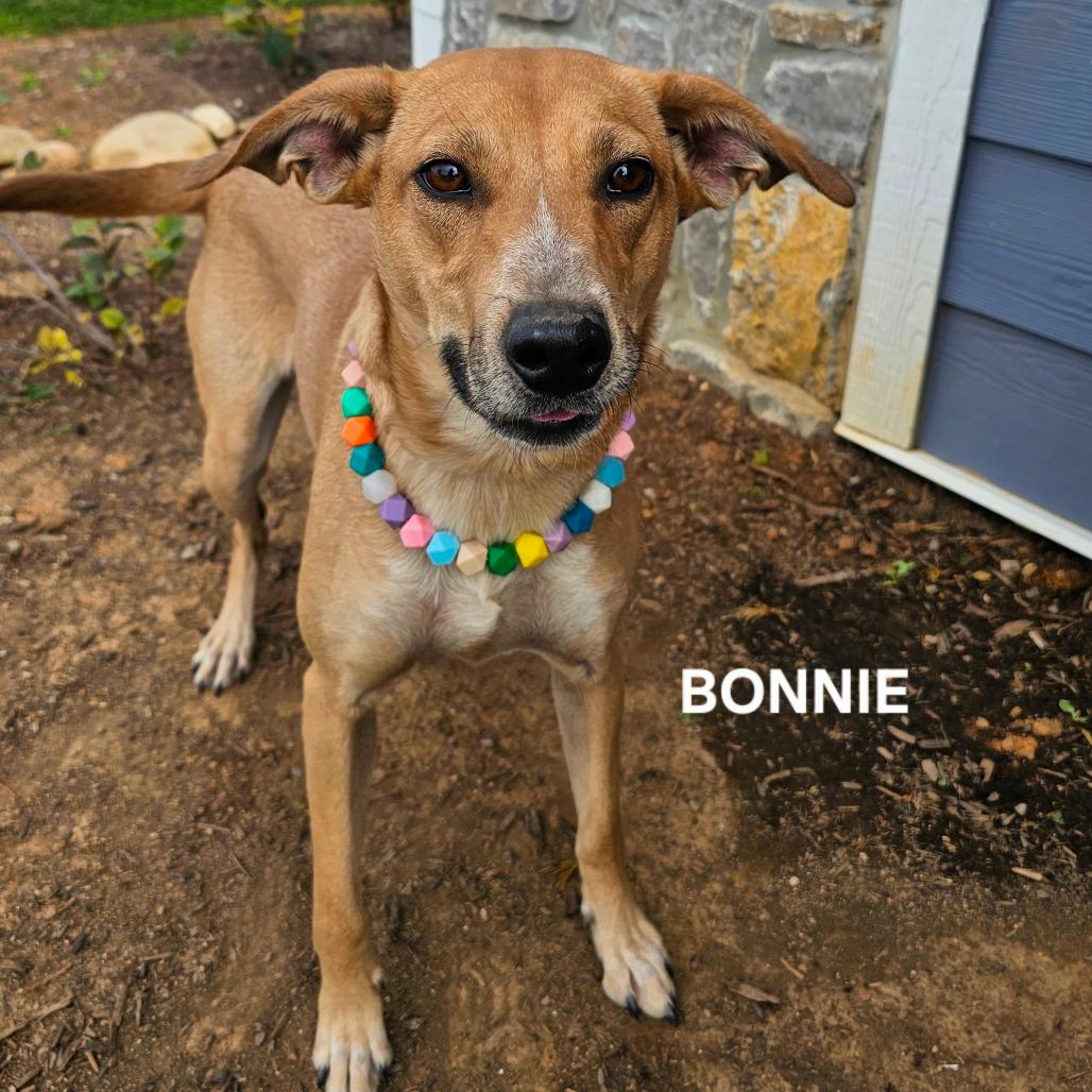 Bonnie