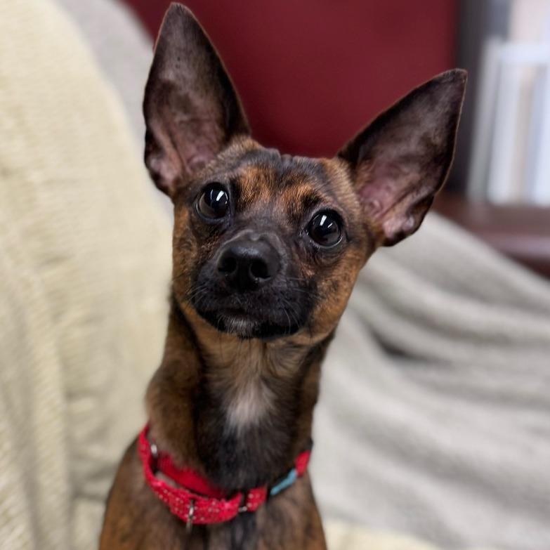 Prince $199 - See my Video!