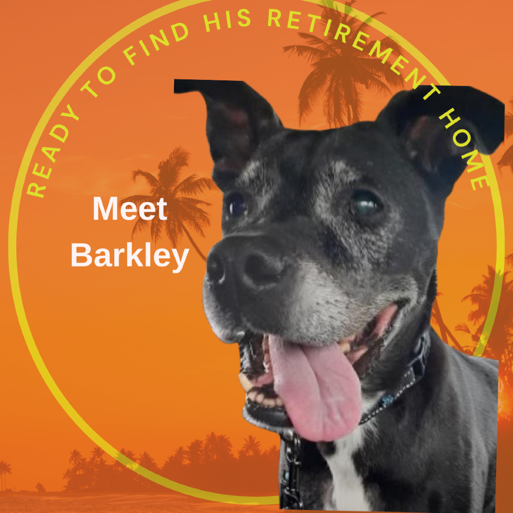 Barkley