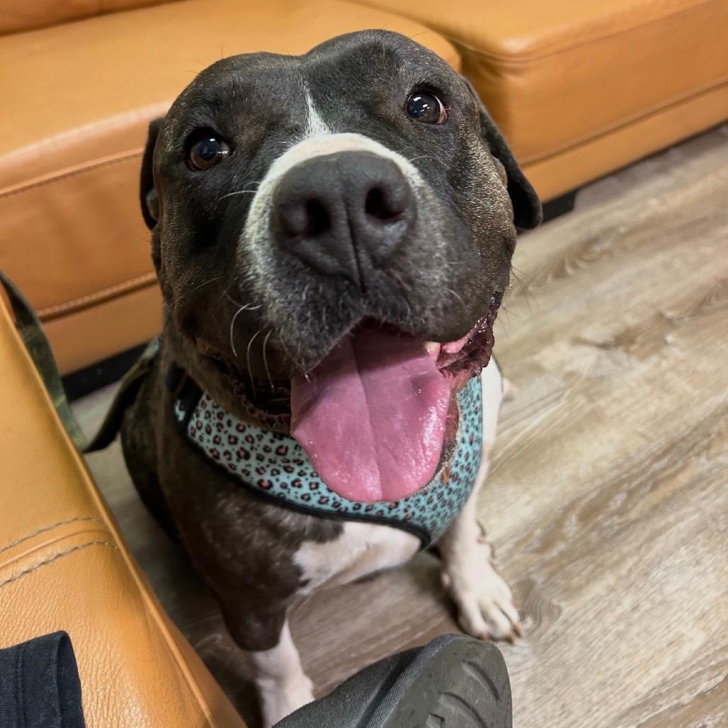 745 (2025) Mama Melon