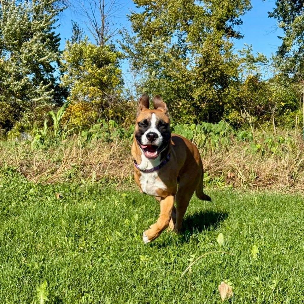 Tyson “Augustus”