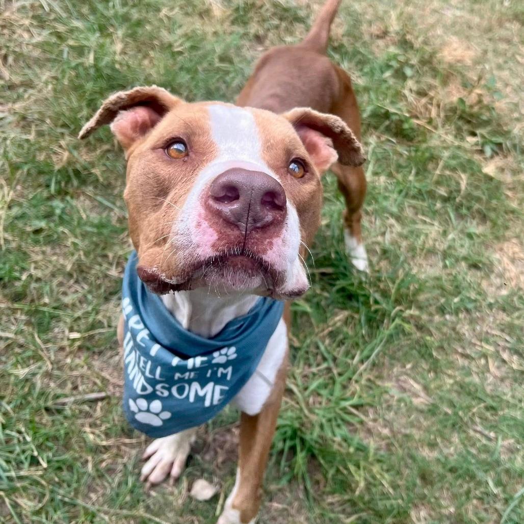 Ripley (White Shoes)