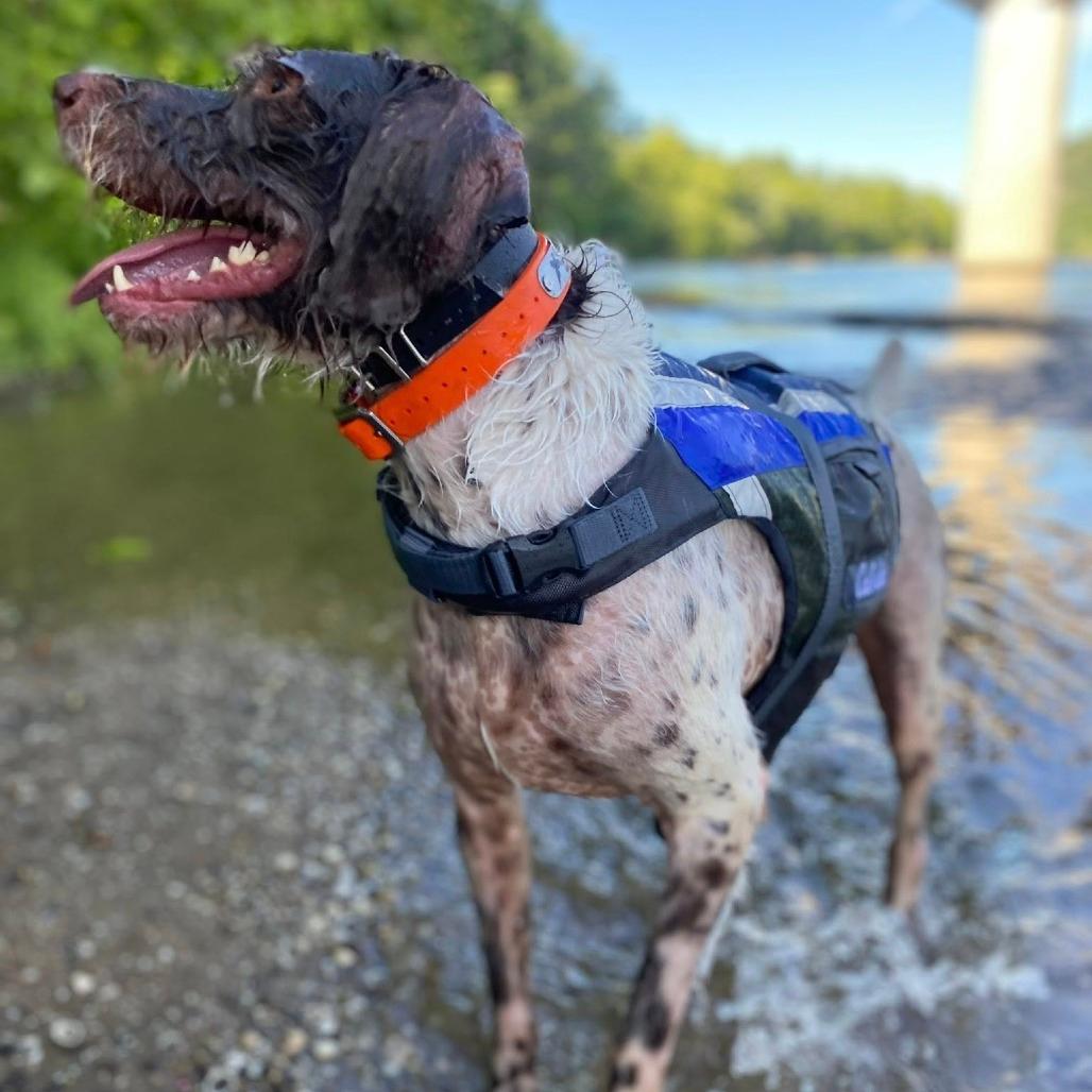 Copper (Nottingham, Maryland)