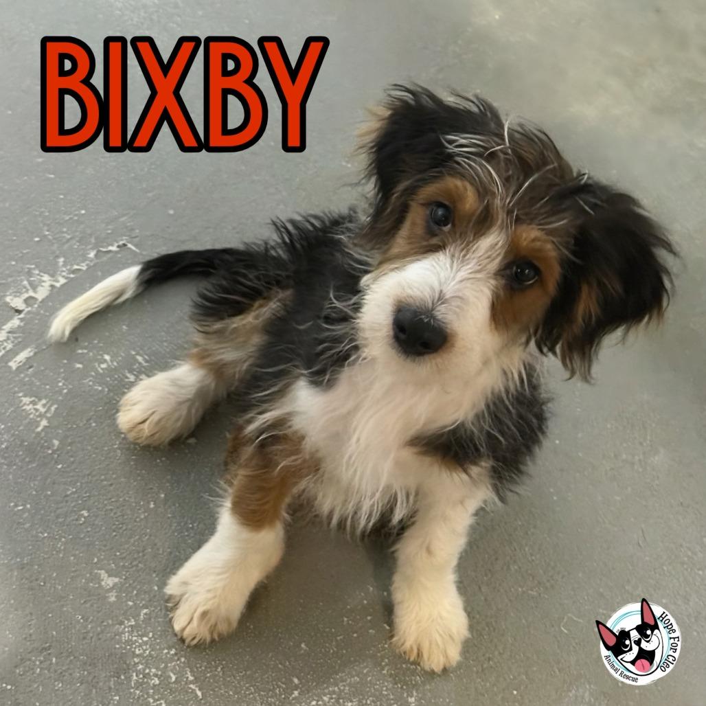Bixby