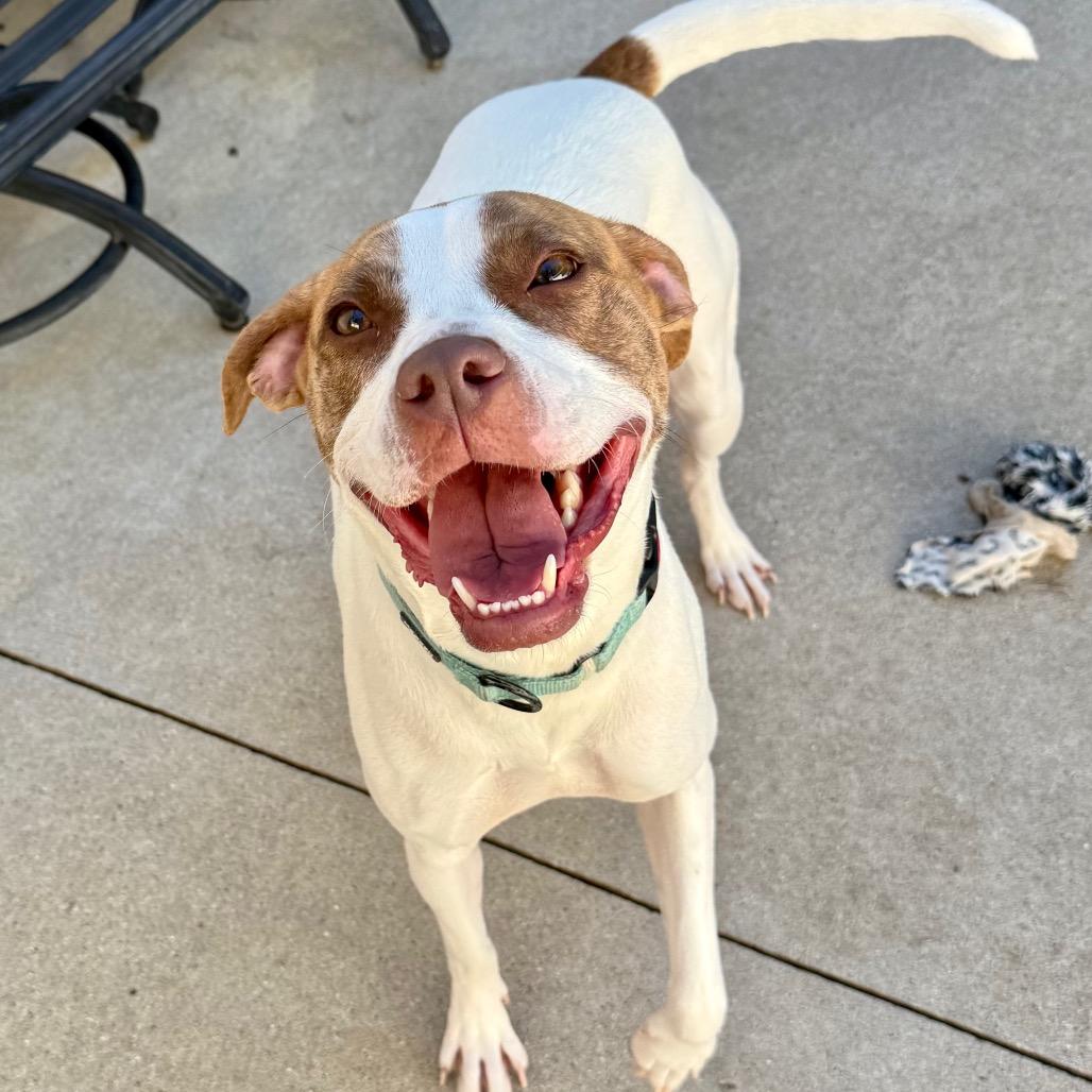 Monty $75 (Long-Timer)