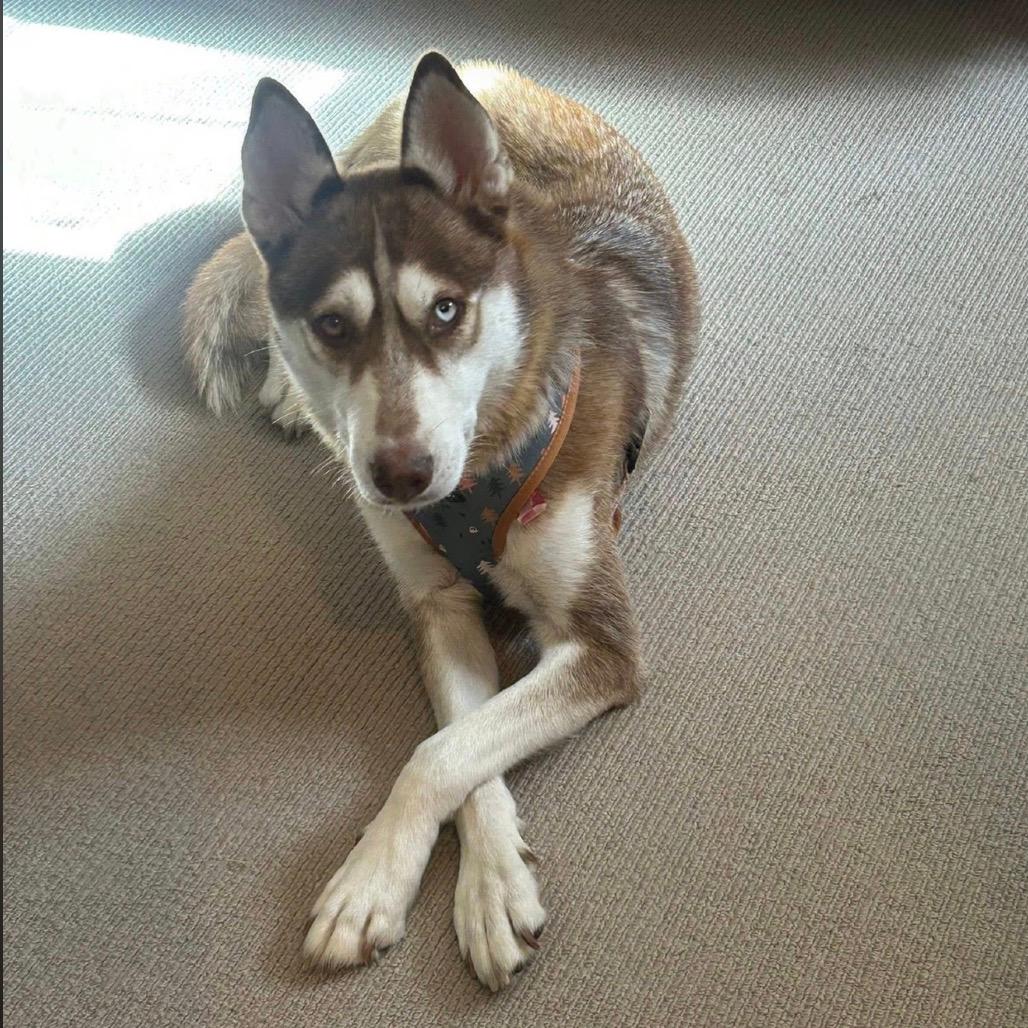 761 (2025) Mama Mika