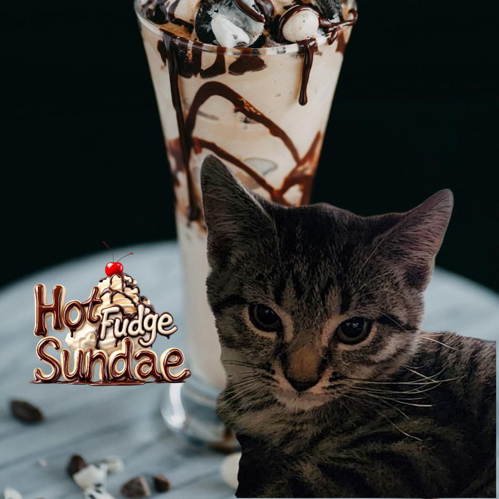Hot Fudge Sundae