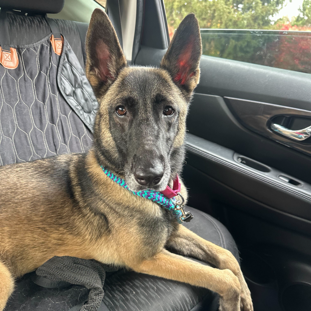 Skadi (fka Debbie Harry)