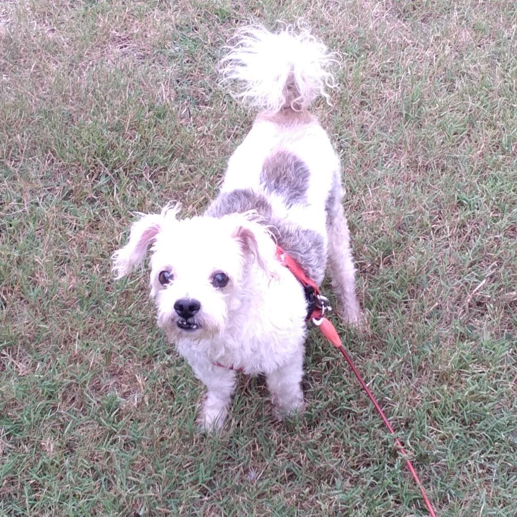 Max
