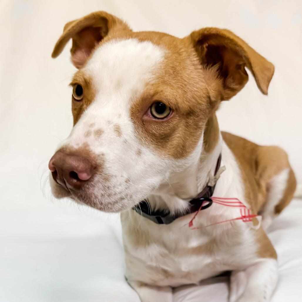 823 (2025) Ellie May