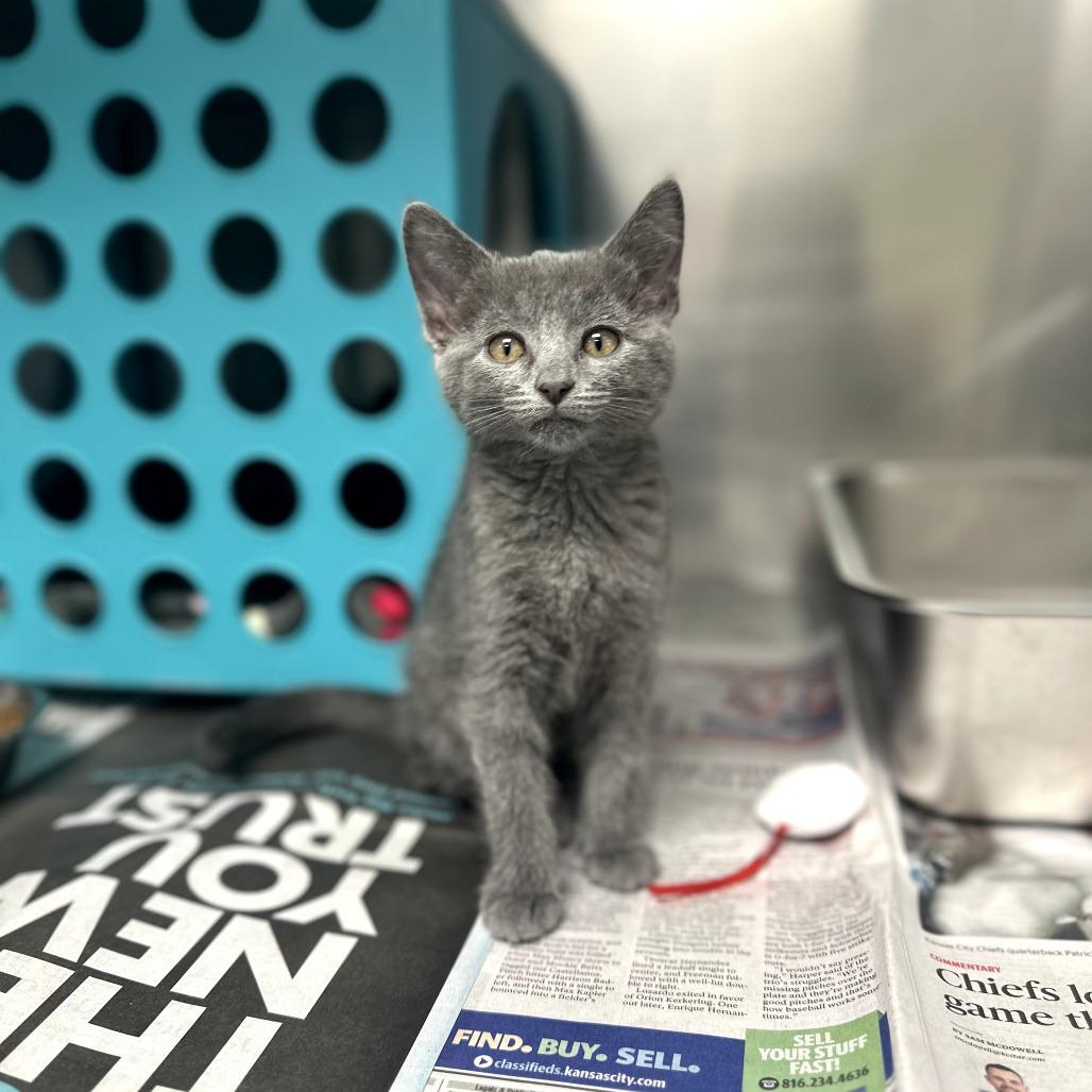 Yammy Yam (25-10582B) 