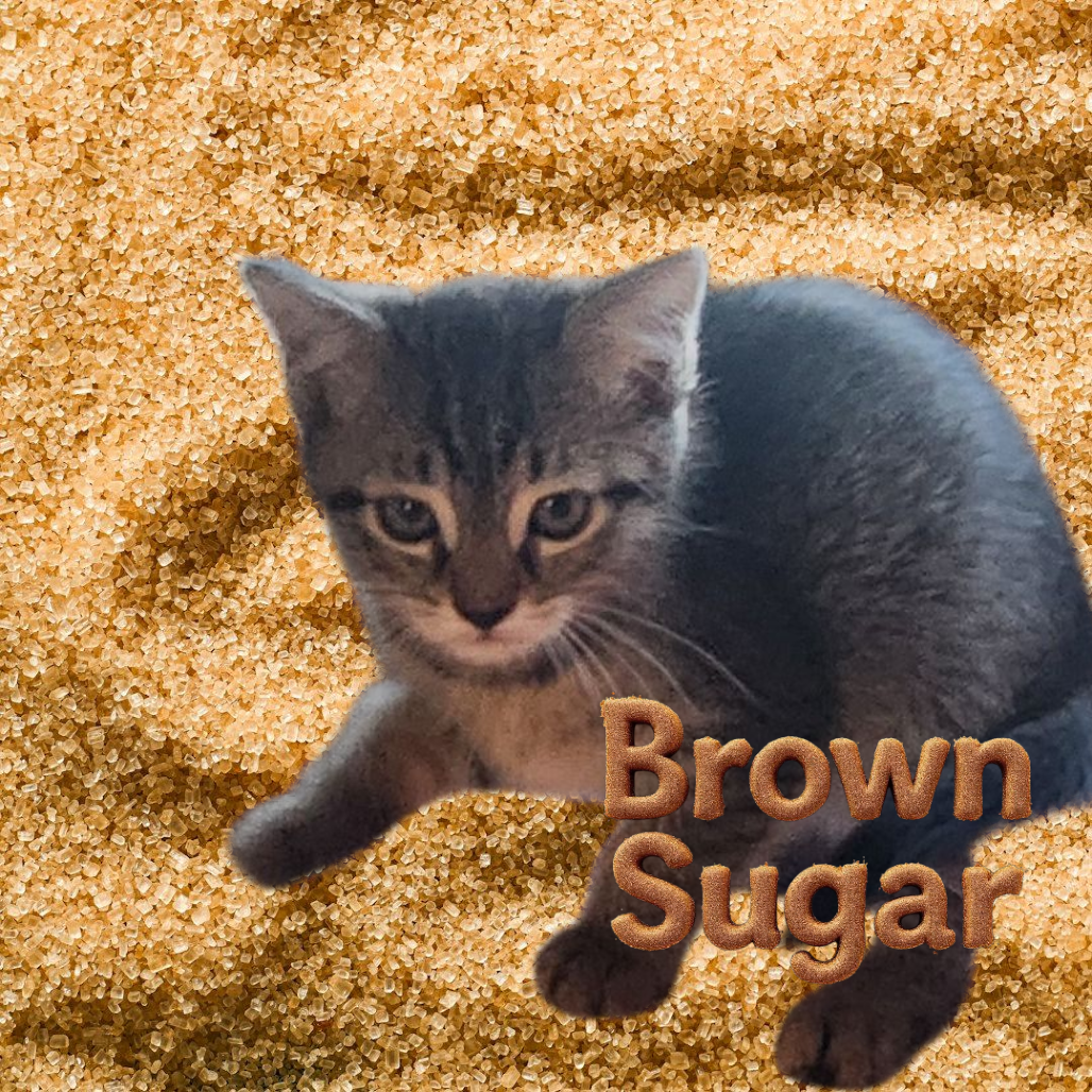 Brown Sugar