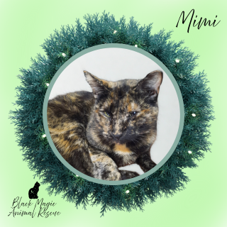 Mimi
