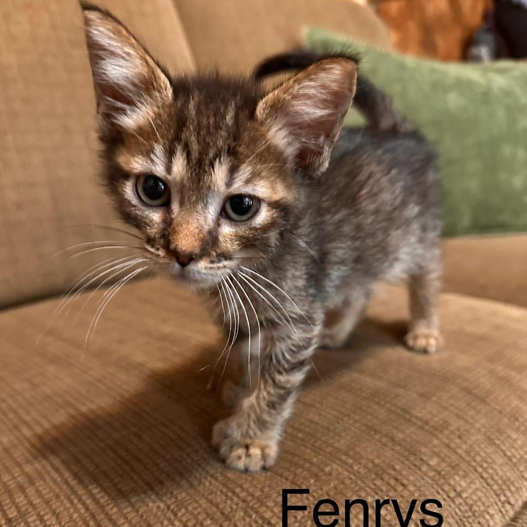 Fenrys