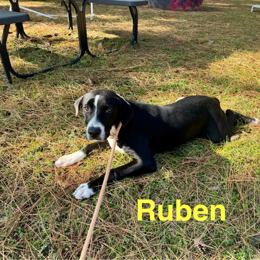 Ruben