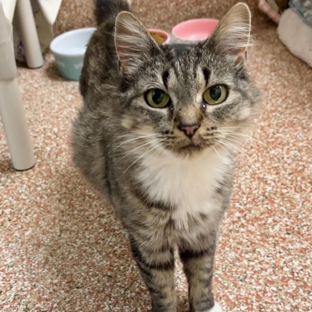 Loki-50% OFF!-See my video!