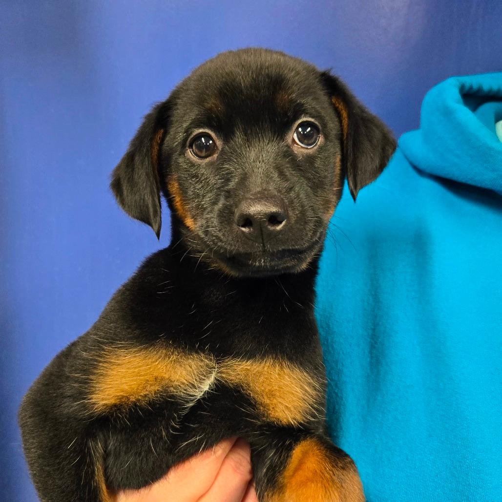CT Luge (Foster in Stafford, CT)