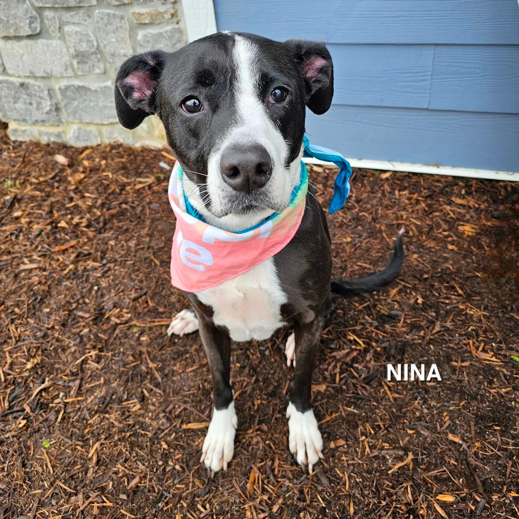 Nina