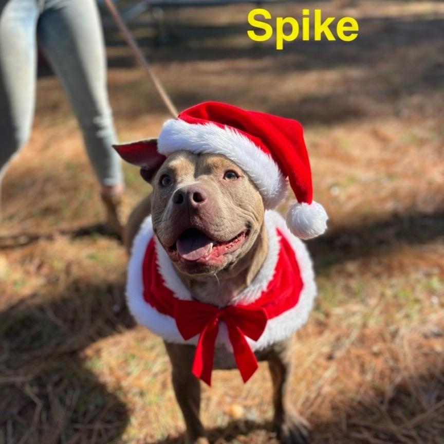 Spike