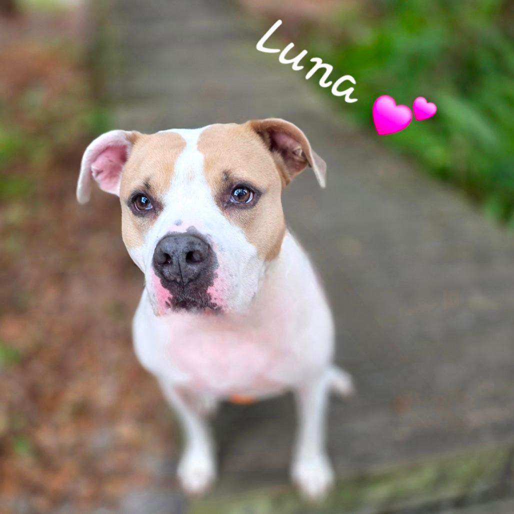 Luna aka Loony Tunes